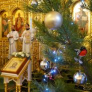 БЛАГОДАРИМ ВСЕХ БЛАГОУКРАСИТЕЛЕЙ ХРАМА ЗА ПОДАРЕННУЮ РОЖДЕСТВЕНСКУЮ РАДОСТЬ!
