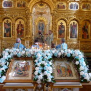 «ЧЕРЕЗ ЖЕРТВЕННУЮ ЛЮБОВЬ МЫ СТАНОВИМСЯ БЛАГОДАРНЫМИ ДЕТЬМИ МАТЕРИ БОЖИЕЙ»