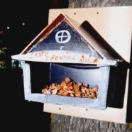 ПУШИСТЫЙ ЗВЕРЁК ПОМОГ ОТКРЫТИЮ ЮННАТСКОГО КРУЖКА В ЮГО-ЗАПАДНОМ БЛАГОЧИНИИ Г. САРАНСКА