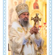 РОЖДЕСТВЕНСКОЕ ПОСЛАНИЕ МИТРОПОЛИТА САРАНСКОГО И МОРДОВСКОГО ЗИНОВИЯ